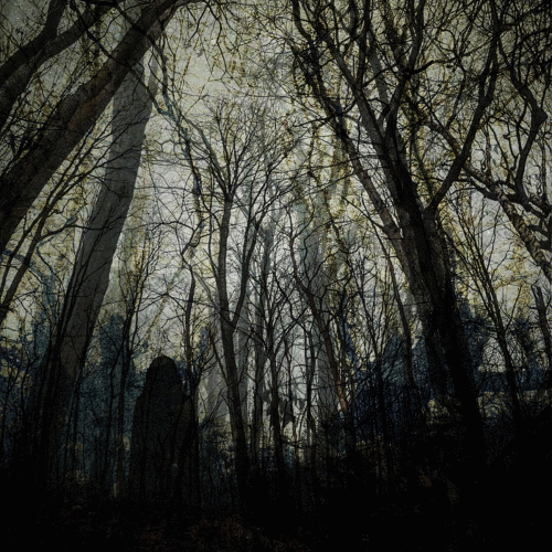 Sjálfsmorð Af Gáleysi : Degenerator